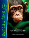 Educator's Guide: Chimpanzee